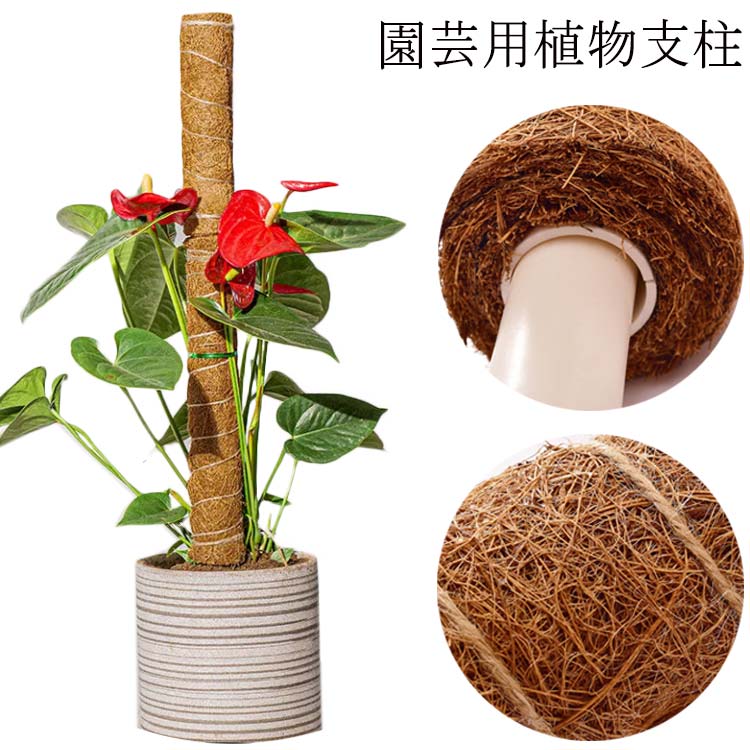 【送料無料】植物支柱 植物サポート 園芸用 ココナッツ支柱 モンステラ 支柱 観葉 植物 支柱 ココナッ..