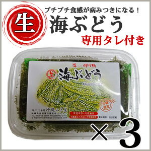 (P10倍)赤字覚悟の為【1日数量限定】【生】海ぶどうたっぷり入って300g！お取り寄せ グルメ おつまみ 沖縄 お土産