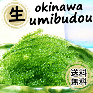 赤字覚悟の為【1日数量限定】【生】海ぶどうたっぷり入って300g！お取り寄せ グルメ おつまみ 沖縄 お土産