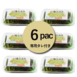 【生】海ぶどう6パックセット（100g×6）お取り寄せ グルメ おつまみ 沖縄 お土産