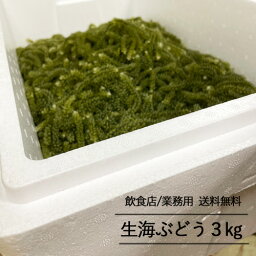 【飲食店・業務用専用】生海ぶどう3kg（タレ無し）送料無料 飲食店用　業務用　