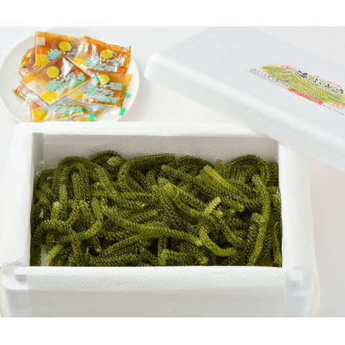 飲食店さんから人気の生海ぶどう　お取り寄せ グルメ おつまみ 沖縄 お土産 おすそ分け　生海ぶどう500g　飲食店さんから人気の海ぶどう | お取り寄せ | グルメ | おつまみ | 沖縄 | お土産 | おすそ分け | 沖縄海ぶどう | ギフト | 沖縄土産 | 家飲みおつまみ | お酒のあて |