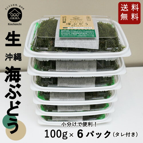 【生】海ぶどう6パックセット（100g×6パック）小分け 送料無料 酒の肴 沖縄土産 沖縄料理 お取り寄せ おつまみ うみぶどう 海ぶどう 送料無料 海ブドウ