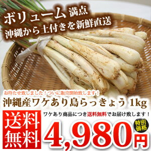 伊江島産島らっきょう　土付き(約1kg)おつまみ| 沖縄の島らっきょう|島ラッキョウ|お取り寄せ|送料無料