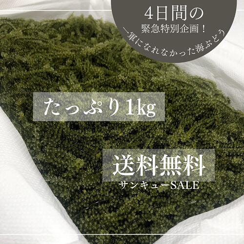 緊急特別企画！一軍になれなかった海ぶどうをたっぷり1kg！しかも送料無料でお届け致します。◎タレは付いていません◎大箱でのご対応で、その都度　箱は変わります。 《4日間の緊急特別企画！》こちらの商品はスポットでの販売となります。タレは付いておりませんので ご希望する場合は別途ご購入を お願い致します。 関連商品はこちらオリジナル海ぶどうのたれ (10袋セット)315円オリジナル海ぶどうのたれ (5袋セット)150円オリジナル海ぶどうのたれ(小袋タイプ)35円オリジナル海ぶどうのたれ (30袋セット)850円太もずくと海ぶどうのたれドレッシング...648円太もずくと海ぶどうのたれ6本セット / ...3,900円太もずくと海ぶどうのたれ　　海ぶどう...648円沖縄産シークヮーサー果汁100%（250ml）...980円シークヮーサーポン酢(250ml)680円シークヮーサーポン酢1000mlノビレチン...1,980円