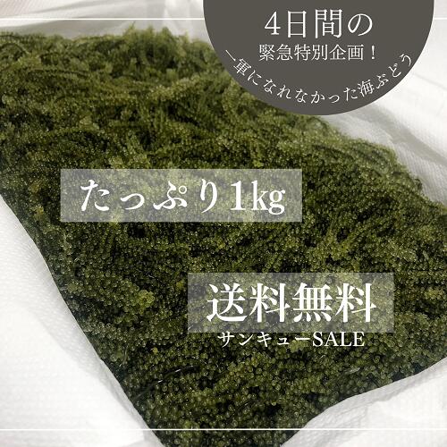 【GWサマーsale対象商品】一軍に一軍になれなかった海ぶどう1kg 海ブドウ おつまみ 低カロリー お取り寄せ グルメ ポイント消化 買い回り【送料無料】【タレ無し】