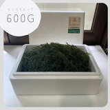 3ָ¤100gפޤ׷դ֤ɤ500g100g(ѥդ)ȴۤγ֤ɤ  Ĥޤ  ڻ  2023ǯ4ٷͥɥå׼