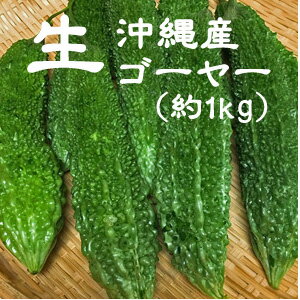 【沖縄産】ゴーヤー 約1kg前後（サイズ混載2〜4本）ゴーヤー にがうり 沖縄野菜 ゴーヤーチャンプルー ゴーヤ