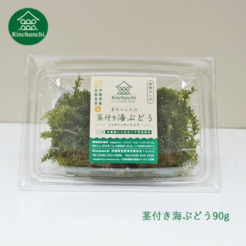 茎付き海ぶどう90g（専用タレ付き）小分けで便利なパック分け おみやげ お裾分け 手土産 お取り寄せ ...