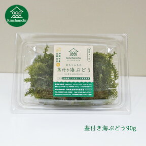 茎付き海ぶどう90g（専用タレ付き）小分けで便利なパック分け おみやげ お裾分け 手土産 お取り寄せ 沖縄 おつまみ 晩酌のお供 高品質 鮮度 プチプチ