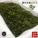 茎付き海ぶどう2kg（タレ無し）送料