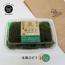 海ぶどう100g　お取り寄せ 沖縄 おつ