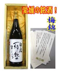 御祝に！贈答に　梅錦　純米吟醸酒　「今度一緒に飲みましょう」　1.8Lx1本　【送料無料】（北海道・沖縄・離島を除く）【楽ギフ_包装選択】【楽ギフ_のし】【楽ギフ_のし宛書】【楽ギフ_メッセ入力】