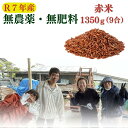 【令和7年産新米】無農薬 無肥料 自然栽培 赤米 1350g 徳島県産 雑穀米 雑穀 無化学肥料【送料無料】国産 宅急便コンパクト