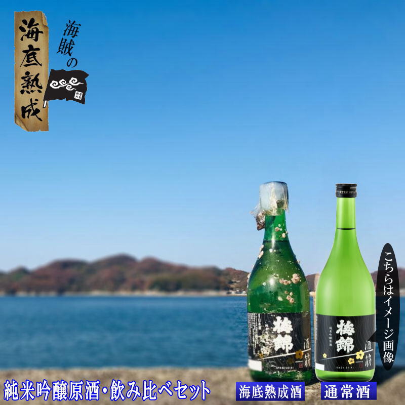 【1年熟成】海賊の海底熟成酒 「梅錦」純米吟醸原酒飲み比べ2