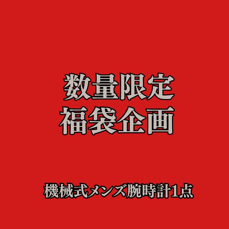 【日本正規代理店】木製 メンズ 機械式腕時計