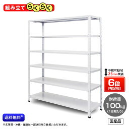 【送料無料】　業務用スチールラック　組立簡単タイプ　耐荷重：1段100kg　【高さ1200 x 横幅875 x 奥行300 x 棚板6枚(有効段数5段)】