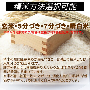 【700円OFFクーポンで3,280円】本場東北 宮城県産 つや姫 10kg 令和3年産 玄米 5分 7分 精白米(精米時重量約1割減)【米】【おしゃれ】【可愛い】【米袋】【おしゃれな米袋】【インスタ映え】【インスタ】 宮城県WEB物産展