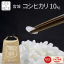 楽天LIFE＆RICE（ライフアンドライス）★令和5年産 宮城県産 コシヒカリ 10kg！ 玄米、5分、7分、精白米（精米時重量約1割減）【白米 こしひかり お米 ごはん 精米 産地直送 美味しい おこめ こめ 新米予約 新米】【おしゃれ 可愛い インスタ】LIFE＆RICE