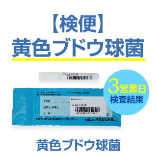 黄色ブドウ球菌のみに絞った検便検査・一人からでも検査可能・保健所へ届ける際も有効。