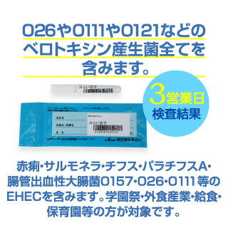 O157を含む腸管出血性大腸菌全菌種の検便検査セット。赤痢・サルモネラ・チフス・パラチフスA・腸管出血性大腸菌・早い結果・一人からでも検査可能・保健所へ届ける際も有効。