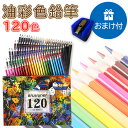 油性 色鉛筆 120色 セット おまけ付き 塗り絵 プレゼン