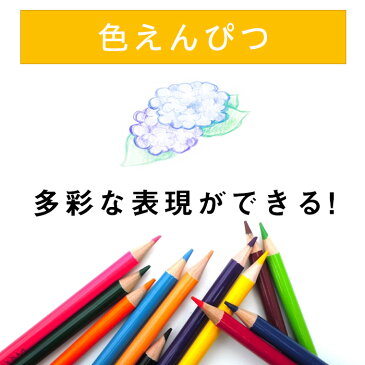 プロ仕様★油性色鉛筆 120色 セット プロ おまけ付き!! 塗り絵やプレゼント用にも最適です。漫画 大人の塗り絵 絵師 学生 美大生 などおすすめです