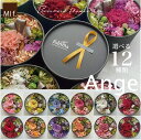 誕生日 プリザーブドフラワー お祝い 内祝い 結婚祝い 花 母の日 ボックスフラワー 【Ange アンジェ 直径13cm】ブリザード 送料無料(北海道+66...