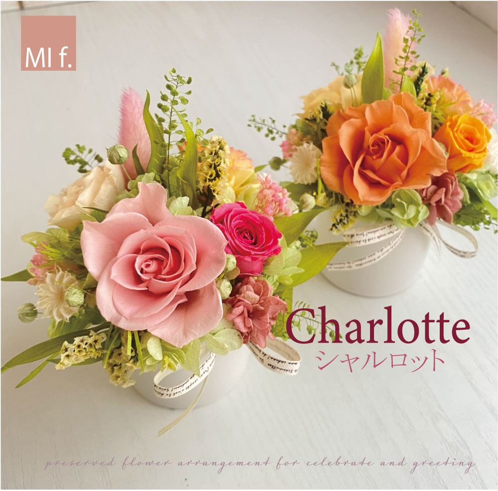 母の日　結婚祝い 誕生日 【Charlotte シャルロット】 プリザーブドフラワー　平日13時までのご注文で即日発送いたします　フラワーアレンジ　ブリザードフラワー　発表会　フレンチテイスト　送料無料（北海道＋660円・沖縄＋880円かかります）