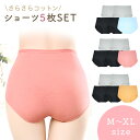 【MILASIC公式】 ショーツ 5枚セット 下着 冷え対策 秋冬 レディース 綿 インナー パンティ まとめ買い 綿 コットン 旅行 お出かけ デイリー マタニティ アンダーウェア おしゃれ スタンダード さらさら 保温 パンツ お腹スッポリ 女性用 深履き ハイウエスト かわいい