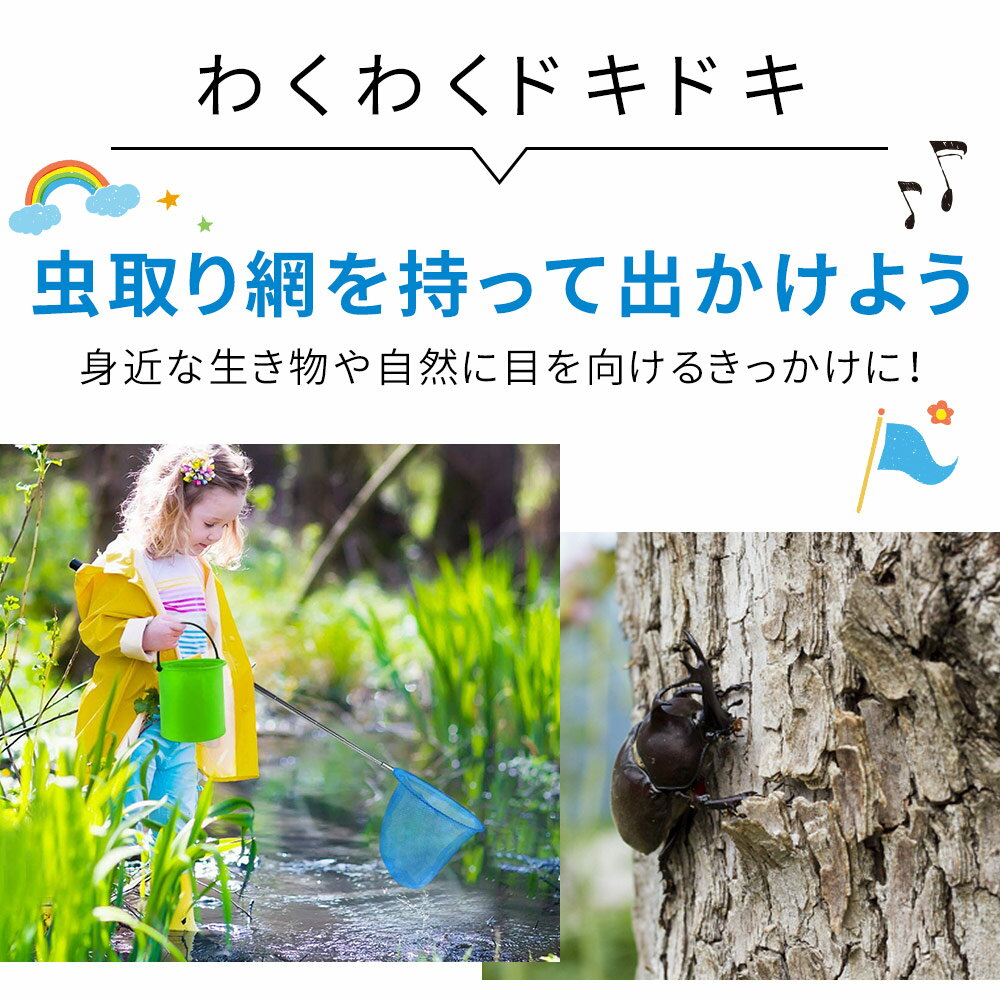 伸縮式 虫取り網 2本 セット 伸縮 長さ 約37-84cm 軽量 コンパクト 昆虫採集 魚取り 虫取りあみ 虫取りアミ 虫とり むしとり 子供 夏休み 山遊び 川遊び アウトドア 柄が伸びる カブトムシ クワガタ