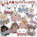 うちの子 キーホルダー 名入れ オーダーメイド うちの子アレンジOK 選べる犬種わんこのキーホルダー / 愛犬 ダックスフンド トイプードル マルプー チワワ ...