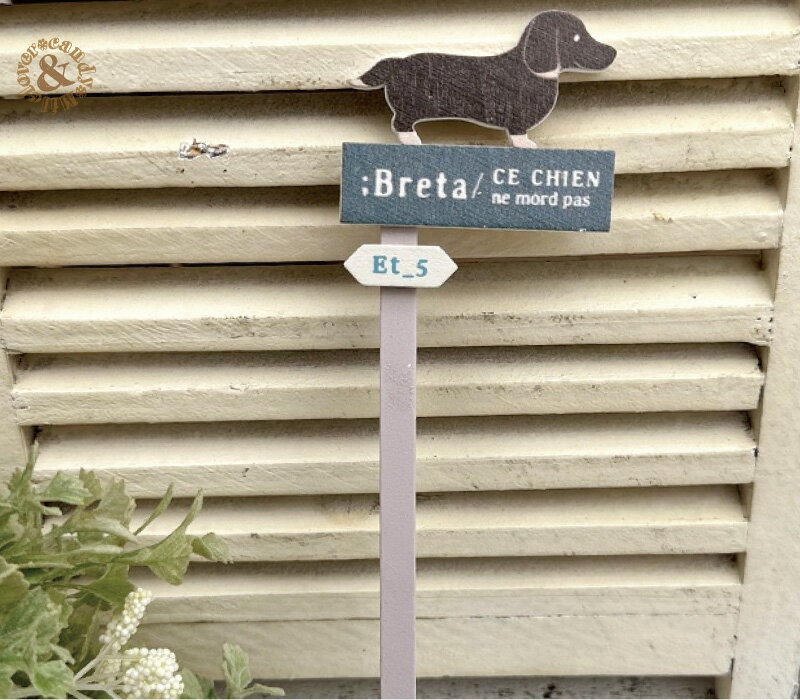 å ֥쥿 ǥ եԥå