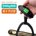 計測グリップ/ フィッシュグリップ アルミ製 大物用フィッシュグリップ フィッシュ キャッチャー 魚ばさみ 釣り ツール ルアー アウトドア ガングリップ フィッシュキャッチャー　ストラップ 付き 魚ばさみ 魚 計測