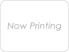 マルゼン APS-3 マガジン(2個セット) エアガン エアーガン