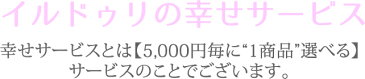 【幸せサービス】生姜入り／ゴーヤーミックスジュース5本