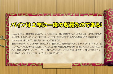 【送料無料】平安名さんの自然栽培による石垣島 完熟 スナックパイン2.0kg／2〜3玉入り予定【フルーツ 果物 くだもの パイナップル ボゴール】トロピカルフルーツ 石垣島 沖縄土産 お取り寄せ 産地直送