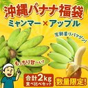 【送料無料】もっちり!もちもち~沖縄のバナナ【アップルバナナ】と【ミャンマーバナナ】の沖縄バナナセット市場に出回らない激レアのミャンマーバナナが食べれますよ!