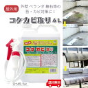 コケカビ取り 4L 噴射ノズル付き 屋外用 送料無料 掃除用品 カビ予防 カビ対策 苔除去剤 コケ対策 汚れ落とし 洗浄クリーナー