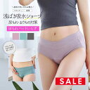 SALE <授乳・マタニティインナー>産前産後ずっと使える!尿もれパッドがいらないママのための吸水ショーツ【589559】2枚までメール便可 マタニティショーツ...
