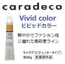 ナカノ キャラデコ ビビッドカラー 80g サロン専売品 業務用 caradeco カラーお選び下さいティンタータイプ V/v・P/v・R/v・O/v・Y/v・M/v・A/v