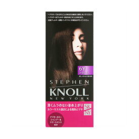 コーセー　KNOLL スティーブンノル カラークチュール クリームヘアカラー 6Y