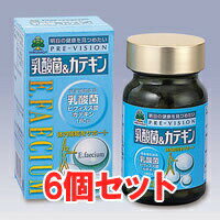 【送料込み】プレビジョン乳酸菌&カテキン 180粒 6個セット (乳酸菌・ビフィズス菌・緑茶カテキン)【健康補助食品】