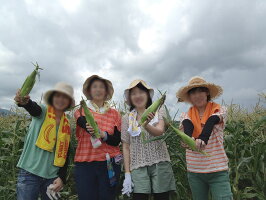 甘いとうもろこし通販販売行列のできる岡山県ひるぜん農園