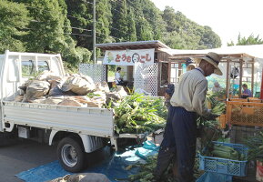 甘いとうもろこし通販販売行列のできる岡山県ひるぜん農園