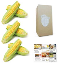 甘いとうもろこし通販販売行列のできる岡山県ひるぜん農園