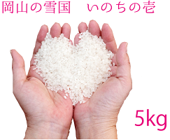 いのちの壱