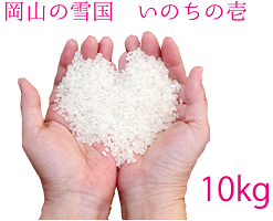 白米10kg
