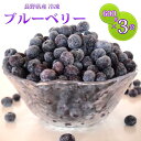 ブルーベリー 産地直送 国産 長野県産 冷凍 フルーツ たっぷり 大容量 600g 3袋 セット 送料無料 冷凍ブルーベリー 冷凍果実 果物 スムージー ブルーベリージャム ブルーベリージュース ミックスベリー 健康 スーパーフード お取り寄せ 業務用 盛り合わせ