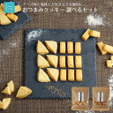 選べる おつまみ クッキー 塩クッキー チーズクッキー 人気 2種類 焼き菓子 自分用 お試し おススメ ビスケット ビスコッティ 卵不使用 おやつ かわいい 詰め合わせ 母の日 2024 誕生日プレゼント 送料無料 プレゼント お取り寄せ お菓子 焼菓子 スイーツ 手土産 大袋